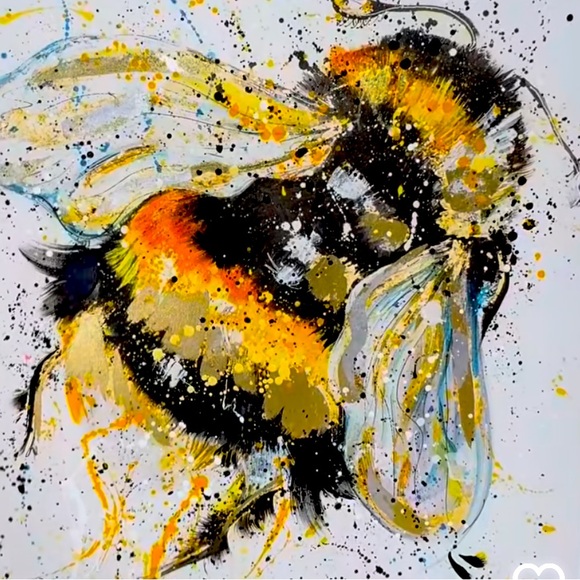 Meet your Posher, Daniele - Picture 1 of 1